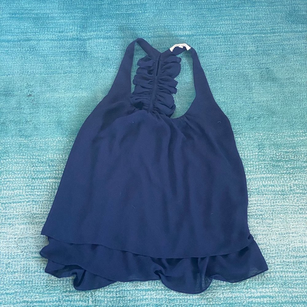 Naked Zebra Blue Rufflle Top